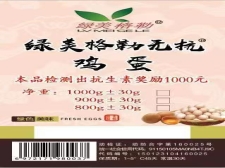 綠美格勒無抗雞蛋